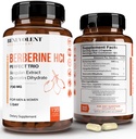 Premium Berberine HCL 730mg - 120 VCAPS Perfect Trio Complex with Non-GMO Jiaogulan &amp; Quercetin