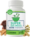 Sea Moss Capsules 100 Pack - Irish Sea Moss with Bladderwrack Powder &amp; Burdock Root Powder - Keto & Alkaline Diet Support - No Fillers Seamoss Raw Supplement
