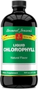 Bernard Jensen's 100% Puro Natural Chlorophyll Flavor Líquido Suplemento tóxico Promociona Alkaline Ph Silencio Ayuda a limpiar la sangre TEN 16 Fluid Ounce (474 ml)