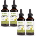 Maxx Herb Olive Leaf Extract – Max Strength Oleuropein Liquid Absorbs Better Than Capsules or Tea, for Immune Support, Heart Health, and Seasonal Wellness - 4 Bottles, 4 Oz Cada (240 Servings)