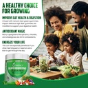 Supergreens Veggies Gummies - Gummies de fibra vegetariana para adultos " Niños - Superalimentos verdes diarios con 35+ Vitaminas esenciales " Salud de la inmunidad " Gut - 4g de fibra por dos Gummy (60 Cuenta)