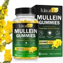 Mullein Gummies for Lung Detox, 2000mg Mullein Leaf Extract for Respiratory " Digestive " Immune Support w/Quercetin, Bromelain, Elderberry " Marshmallow, Vegan 120 Gummies (1 bottle 60 gummies) (1)