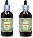 Orgánica Sassafras (Sassafras Albidum) Gliceo, Hojas secas Extracto líquido libre de alcohol (Marca: HerbalTerra, Proudly Made in USA) 2x4 fl.oz (2x120 ml)