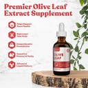 Rejuvica Active Olive Leaf Extract Silencio Naturalmente Occurring Oleuropein Liquid Drops for Immune & Heart Support ← Fast-Absorption, Vegan, Alcohol-Free TEN 6 fl oz