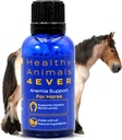 HA4E - Horse Anemia Support - Helps Prevent Diseases & Parasites - Highly Effective, Natural Homeopathic Supplement - 300 Tablets