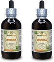 Mucuna (Mucuna Pruriens) Tintura, Semillas orgánicas Extracto líquido (Marca: HerbalTerra, Proudly made in USA) 2x4 fl.oz (2x120 ml)