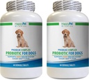 Probiótico para perros de mal aliento - PROBIOTICAS Premium de perros - Sabor de carne de res - Stops Diarrhea Bad Gas Breath - Gut Health - enzimas digestivas de perros - 2 Botellas (120 Treats)