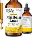 Wild &amp; Organic Mullein Tincture - Lung Cleanse and Detox - Liquid Mullein Leaf Extract for Lungs with Echinacea - Verbascum Thapsus Drops - Vegan, Sugar &amp; Alcohol-Free Supplement - 4 fl oz