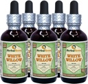 White Willow (Salix Alba) Glycerite, Organic Dried Bark Alcohol-FREE Liquid Extract (Marca: HerbalTerra, Proudly made in USA) 5x2 fl.oz (5x60 ml)