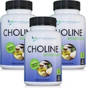 DOCTOR RECOMENDADO SUPPLEMENTS Premium Choline - 500 mg - 120 Veggie Capsules Soporta Salud Cognitiva, Memoria &amp; Más - 3 Pack