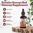 Active Ginseng Korean Red Panax Ginseng with Natural Ginsenosides - Fast-Absorbing Liquid - Supports Healthy Energy, Vitality, Mood and More