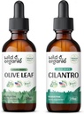Hoja de oliva ecológica Tintura 2 fl oz &amp; Cilantro Tincture 2 fl oz