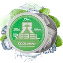 Pouches de cafeína de energía nootrópica • 100 mg de cafeína • Alfa GPC • Huperzina A " Vitaminas esenciales • Sin azúcar • Tecnología de fibra de coco • sabor de menta fresca • 15 bolsas por can (Pack of 1)