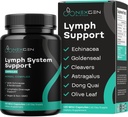 Herbal Lymph System Support Supplement - Lymphatic Support Complex with Echinacea Goldenseal Astragalus & Hydroxytyrosol for Lymphatic Drainage & Immune Support - Vegan Non-GMO Gluten Free (2 Mes)