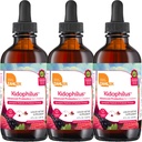 Zahler - Kidophilus Liquid Drops Probiotics for Kids (4 Fl Oz) Certified Kosher, for Healthy Digestion &amp; Immune Support - Fruit Punch Flavored Children's Probiotic Drops Supplement (3 Pack)