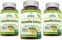 Herbal Secrets Boswellia Serrata Extract (65% Boswellic Acids) 600 mg Capsules Suplemento No-GMO Silencio Gluten Free (120 Silencio 3 Pack)