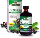 Respuesta de la naturaleza Sambucus Elder Berry Extract Syrup 8 Ounce ( 3 Pack ) ← Asistencia diaria para inmunizar a los antioxidantes ¦ Family Friendly ← Flue Season Defender