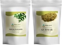 HERBAL HILLS Neem Leaf Powder y Gurmar Powder Gymnema Sylvestre Pack de 2 Combo