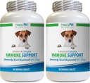 Alergía Inmune Bites for Dogs Lamb Flavor - Dog Immune System Support - Salud del hígado y el riñón - potente ANTIOXIDANTS - Fórmula natural - Turquía Tail Capsules Dog - 2 Botellas (120 Treats)