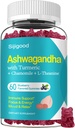 Ashwagandha Gummies, Apoyo a la Inmunidad, Relajación, Suplementos Ashwagandha para Hombres &amp; Mujeres, Natural Blueberry Flavor, 60 Conde