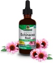 Respuesta de la naturaleza Echinacea Extract ← Soporta un sistema sano de inmunidad ¦ Vegan, libre de gluten, libre de alcohol, no GMO " Kosher Certified TEN 2oz