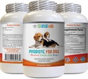 Alivio probiótico para perros - PROBIOTICS para perros - Mala respiración y gas de paso Solución - Salud Oral - Acidophilus para perros - 1 Botella (60 Treats)
