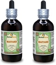 Maitake (Grifola Frondosa) Glycerite, Orgánica Seca Mushroom Extracto líquido libre de alcohol (Marca: HerbalTerra, Proudly Made in USA) 2x4 fl.oz (2x120 ml)