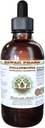 Collinsonia Alcohol-Free Liquid Extract, Collinsonia (Collinsonia Canadensis) Dried Root Glycerite Hawaii Pharm Natural Herbal Suplemento 4 oz