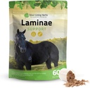 Herbs de forro de plata Laminae Support Suplementos de caballos Laminitis &amp; Fundador Soporte para Caballos - Soporte Movilidad, Pies Soros, Tissue suave &amp; Mejor Carne - Herbal Hoof Suplementos para Caballos - 1 LB