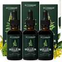 Betterbrand Mullein Lung Detox Drops (3-Pack), 60ml Mullein Leaf Tintura con clorofila para el apoyo a la salud respiratoria - Sin alcohol - 3 meses de suministro