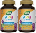 Nature's Way Kids Cool & Calm Gummies,Supports a Calm Mood in Kids Ages 8+*,Lemon Balm,Magnesium,Vitamin B6,L-Theanine,Grape Flavored,Vegetarian,(Packaging May Vary),40 Count (Pack of 2)