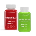 LongLifeNutri Urolithin A+ 1000 mg & Diosmin Hesperidin Complex 1000 mg/300 mg Bundle – 120 Veg Caps + 240 Veg Caps, 2- & 4-Month Supply, with Organic Pomegranate Extract, Non-GMO, Lab Tested, GMP Cer