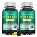 2 Packs 3000MG Organic Mullein Gummies for Lung, Mullein Leaf Extract for Lungs - Quercetin, Bromelain for Respiration，Immune and Digestive Support, 120 Count Blueberry Gummys