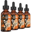 Liposomal Mushroom Complex Drops 2000 MG - 20 extractos orgánicos de hongos - Advanced Liquid Formula for Immunity, Cognitive and Memory - Lions Mane Supplement, Reishi, Cordyceps, Chaga, 120 Servings