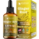 4 Oz Ginger Root Extract Liquid Drops - Stomach & Digestive Support | 2 Month Supply | - Made in USA - Ginger Root Supplement - Alcohol & Sugar Free