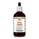 Uva Ursi (Arctostaphylos Uva-Ursi) Dry Herb Glycerite, All Natural, Vegan, Lab Tested Alcohol-Free Liquid Extract - 4 fl.oz