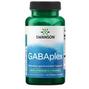 Swanson Amino Acid Gabaplex w/L-Tyrosine & L-Theanine 60 Veg Capsules