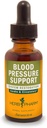 Herb Pharm Blood Pressure Support Fórmula líquida para los sistemas cardiovasculares y circulatorios - 1 onza (FLINDEN01)