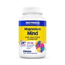 Enzymedica, Magnesium Mind with ATA Mg, 24% Faster Absorption, High-Bioavailability Magnesium for Sleep, Stress & Cognition, 120 Count