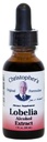 Dr Christopher's Formula Lobelia Alcohol Extract, 1 Fluid Ounce