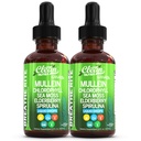 Organic Mullein Liquid Drops With Chlorophyll for Lung Detox Plus Irish Sea Moss, Spirulina, Licorice, Tart Cherry, Lobelia, Motherwort, And Elderberry For Men Women Health Supplement Vitamin (2)