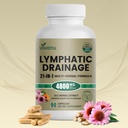 21-in-1 Liposome Lymphatic Drainage Supplements, 45 Day Supply, 4800mg Immune & Lymph System Support, 10:1 Concentrated Technology, Echinacea, Dandelion, Burdock, Bromelain, Calendula, 90 Capsules