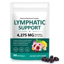 Lymphatic Support Supplement 60 Softgels– Advanced Botanical Complex with Echinacea, Dandelion & Elderberry – Antioxidant-Rich Daily Wellness Formula