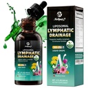 Liposomal Lymphatic Drainage Drops, 4 fl oz – 30-in-1 Lymphatic Drainage Supplements with 23 Herbs & 7 Vitamins – Supports Lymphatic System, Immune & Liver Health – Detox Support – 60-Day Supply
