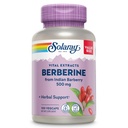 SOLARAY Berberine 500mg - Berberine Supplement for a Healthy, Active Lifestyle - with Berberine HCl from Indian Barberry - Vegan, Non-GMO, 60-Day Guarantee, Lab Verified - 100 Servings, 100 VegCaps
