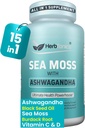 Herbtonics Sea Moss, Black Seed Oil, Ashwagandha, Burdock Root & ACV Complex ← Inmunity Boost, Reduce Stress, Support Digestion ← All-in-One SeaMos Capsules ← 60 Capsules