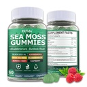 Irish Sea Moss 3000mg Gummies with Bladderwrack, Burdock Root & Manuka Honey – Immune, Thyroid & Energy Support for Women, Men & Kids – Sugar Free Vegan Seamoss Supplement (60 Count)