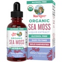 MARYRUTH'S Organic Irish Sea Moss Liquid Drops | Chondrus Crispus | Wild Harvested | Organic Irish Moss Formulated for Adults & Kids Ages 14+ | Unflavored | Sugar Free | Vegan | Non-GMO | 1 Fl Oz