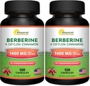 aSquared Nutrition Berberine with Ceylon Cinnamon Supplement - Max Strength Complex - 120 Capsules - Berberine HCl 1200mg Per Serving - Extract Plus Pills Alternative to Gummies & Drops (Pack of 2)