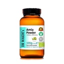 DR WAKDE'S Amla Fruit Powder (Amalaki | Emblica officinalis) - 100g (3.5oz) | Pure, Raw & Dried Powder | Natural Aroma and Freshness | Fine Powder | Vegan | Premium Grade